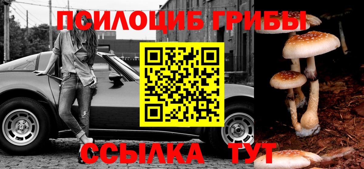 Алексин  Псилоцибиновые грибы мицелий  Вход с VPN 