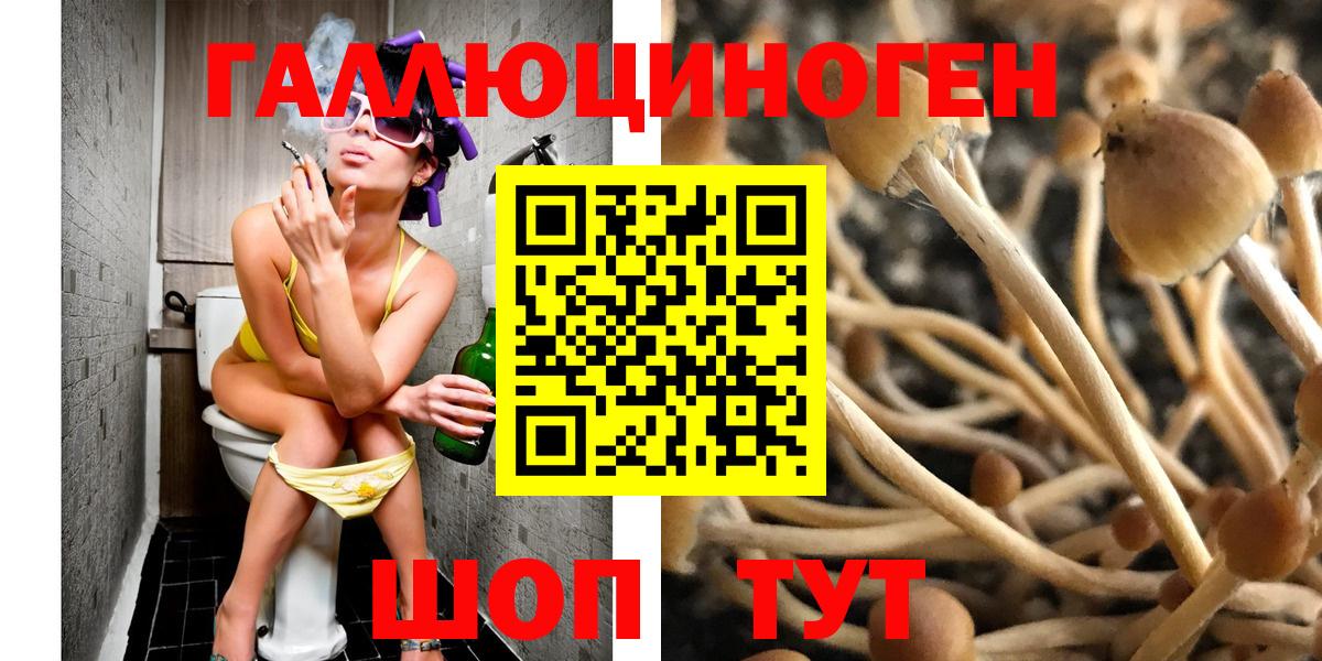 Галлюциногенные грибы MAGIC MUSHROOMS Алексин